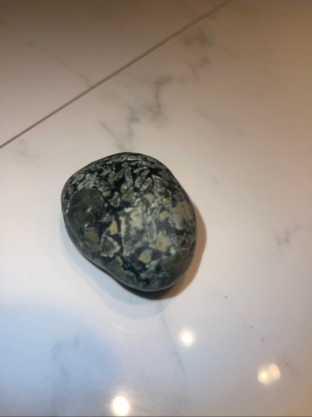 Dallasite ONLY FOUND ON VANCOUVER ISLAND *RARE* Gem palm stone